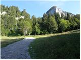 Forni di Sopra - Rifugio Som Picol